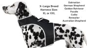 Trace Using Pet Route History w/ Mini Dog Tracker Device + Mobile Apps Size:S