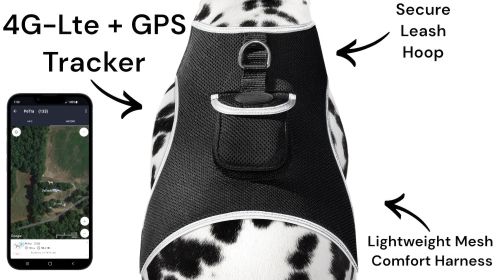 Track Your Pet w/ Rechargeable Realtime GSM GPS GPRS Pet Mini Tracker Size:S