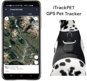 Mini Dog Location Finder w/ Easy Download Mobile Pet Tracker Free App Size:S