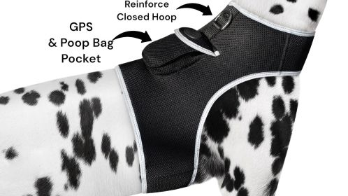 Mini Realtime GPS GSM Water Resistant Pet Tracker with Clip Assembly Size:XS