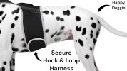 Remote Pet Surveillance Pet Tracker Waterproof Collar Mounted GPS for Pet Size:M