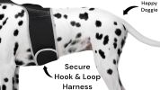 Trace Using Pet Route History w/ Mini Dog Tracker Device + Mobile Apps Size:S