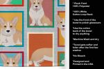 Lots of Fawn Cardigan Corgi Kitchen Towel Dish Cloths Guest Hand Towel Decorative Bathroom Towel for Face,Tea, Dishcloth, Kitchen and Bath