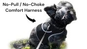 Wireless GSM GPS Dog Tracking Collars Waterproof GPRS Locator Device Size:M