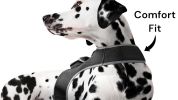 Mini Dog Location Finder w/ Easy Download Mobile Pet Tracker Free App Size:S