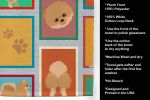 Lots of Orange Pomeranian Kitchen Towel Dish Cloths Guest Hand Towel Decorative Bathroom Towel for Face,Tea, Dishcloth, Kitchen and Bath