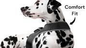 Mini Advanced Rechargeable GSM GPRS Pet GPS Tracker Portable Tracking Size:XS