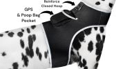 Collar Tag Dog Locator Rechargeable + Realtime Easy Pet GPS App System Size:M
