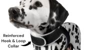 Mini Dog Location Finder w/ Easy Download Mobile Pet Tracker Free App Size:S
