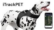 Trace Using Pet Route History w/ Mini Dog Tracker Device + Mobile Apps Size:S