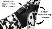 Mini Advanced Rechargeable GSM GPRS Pet GPS Tracker Portable Tracking Size:XS