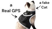 Mini Dog Location Finder w/ Easy Download Mobile Pet Tracker Free App Size:S