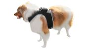 Mini Dog Location Finder w/ Easy Download Mobile Pet Tracker Free App Size:S