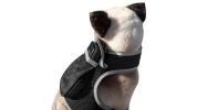 GPRS GSM Portable Dog GPS Tracking System Waterproof Mini Pet Tracker Size:S
