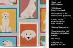 Lots of Cream Golden Retriever Kitchen Towel Dish Cloths Guest Hand Towel Decorative Bathroom Towel for Face,Tea, Dishcloth, Kitchen and Bath