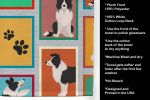 Lots of Border Collie Kitchen Towel Dish Cloths Guest Hand Towel Decorative Bathroom Towel for Face,Tea, Dishcloth, Kitchen and Bath