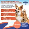 Probiotics Prebiotics with Enzymes for Dogs and Cats Digestive Gut Flora Health Pet Food Supplements