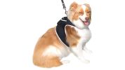 Mini Advanced Rechargeable GSM GPRS Pet GPS Tracker Portable Tracking Size:XS