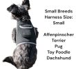 Collar Tag Dog Locator Rechargeable + Realtime Easy Pet GPS App System Size:M