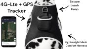 Trace Using Pet Route History w/ Mini Dog Tracker Device + Mobile Apps Size:S