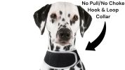 Mini Dog Location Finder w/ Easy Download Mobile Pet Tracker Free App Size:S
