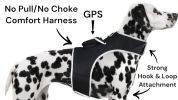 Rechargeable Pocket Pet GPS Collar Location Finder Waterproof Tracker Size:XS